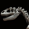 В NASA нашли следы сотен динозавров