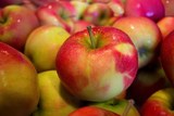 Под Москвой уничтожили 60 тонн польских яблок