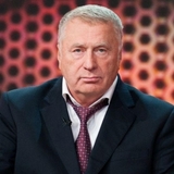 Петербургский депутат требует завести на Жириновского уголовное дело