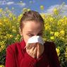 Учёные рассказали, как избавиться от аллергии