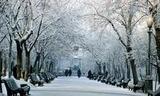 Московская зима может войти в десятку самых теплых за историю метеобюро