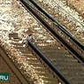 Московский полицейский погиб под колесами поезда под Курском