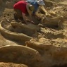 Археологи обнаружили в Египте не разграбленную древнюю гробницу