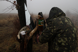 До хрупкого перемирия доживут не все: на Донбассе все стреляют