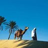 Тунис с 1 октября ввел для туристов налог на выезд
