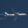 Тела 20 пассажиров «Боинга-777» доставлены в Малайзию