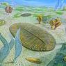 Похожие на фрукты существа населяли Землю 600 млн лет назад ФОТО