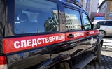 В Новосибирской области задержан руководитель рухнувшего конного клуба