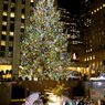 США: на главной новогодней елке страны засверкали огни