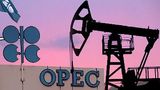 Цена нефти ОПЕК опустилась до минимума 13-летней давности