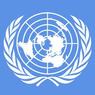 В ООН опровергли договоренность с Турчиновым по Крыму
