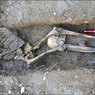 Археологи раскрыли тайну «безголовых римлян»