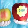 Минсельхоз США одобрил продажу генетически модифицированных яблок