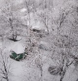Декабрь принес в Москву пока неубедительный снег
