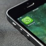 В Госдуме заявили, что новые правила WhatsApp противоречат российскому законодательству