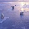 Ученый: тающая Гренландия затопит Флориду и Бангладеш