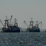 Россия лишит Японию квоты на вылов рыбы у южных Курил