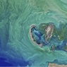 Госдума ратифицировала конвенцию о разделе Каспийского моря