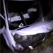 Петербургский автобус с туристами слетел в кювет, есть пострадавшие