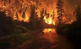 В Приморье введен режим ЧС из-за лесных пожаров