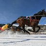 Испания: В Пиренеях можно будет покататься за лошадью на лыжах