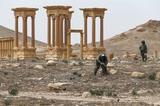 Армия Сирии выбила террористов из исторической цитадели Пальмиры