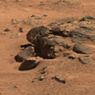 Уфологи обнаружили на Марсе голову каменной обезьяны (ФОТО)