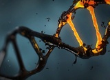 Ученым впервые удалось "починить" ДНК эмбриона в утробе матери