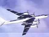 У бомбардировщика Ту-95 отказали все двигатели