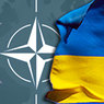 Поспред РФ при ОБСЕ: Украина не вписывается в критерии НАТО