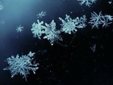 Первый снег скоро выпадет в Москве