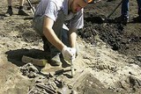 Польские археологи откопали секс-игрушку 18 века