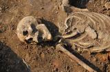 Строители гаража в Кургане откопали в земле 30 скелетов