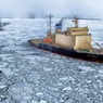 В ГД прокомментировали инициативу США отправить корабли в Арктику