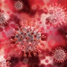 Ученые выявили фактор, в шесть раз повышающий риск смерти от коронавируса