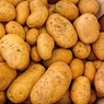 Россельхознадзор запретил ввозить картошку из Нидерландов