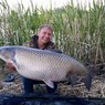 В озере Тверской области поймали амура весом 27,5 кг