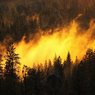 Площадь лесных пожаров на Дальнем Востоке увеличилась втрое