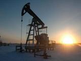 Эксперты США допускают падение цен на нефть до $20 за баррель