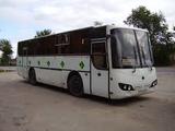 На трассе в Карелии пассажирский автобус улетел в кювет