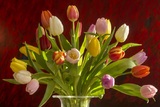 Мимоза, тюльпан и гвоздика: советские цветы женского праздника