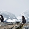 Ученые в Антарктиде «раскрыли секрет» возрастом 120 000 лет