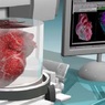 Открыт способ, позволяющий создать на 3D-биопринтере новое сердце