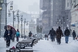 За минувшие сутки в Москве выпало почти 40% месячной нормы осадков