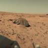 НАСА опубликовало панорамный снимок марсианских дюн (ФОТО)
