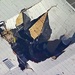 На видео сняли момент падения в Калифорнии истребителя F-16