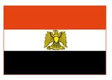 На президентских выборах в Египте побеждает экс-министр обороны