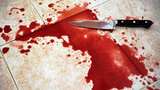 В Подмосковье сотрудник МЧС заколол ножом коллегу из-за обиженной сестры