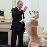 Путин в Кремль привел свою собаку породы акита-ину - подарок японцев (ФОТО)