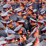 МВД России выросло на 2,2 тысячи следователей